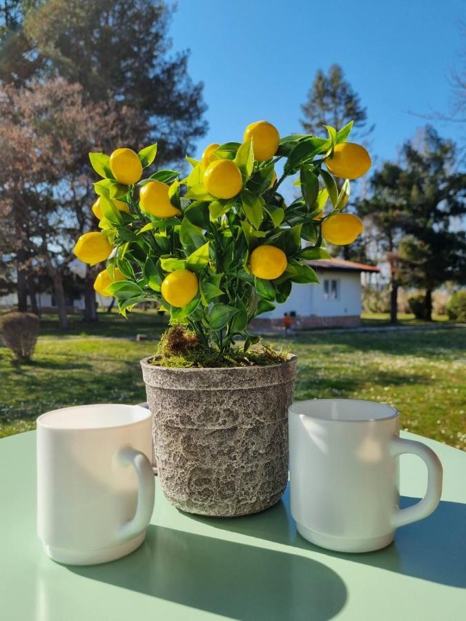 Fuk-Tak'S Bungalow Dojran Buitenkant foto